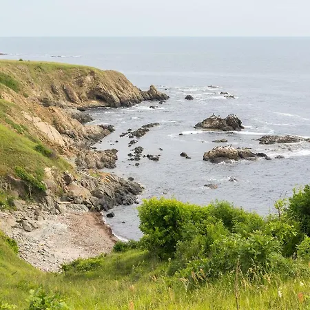 Zelenika 2* シネモレツ