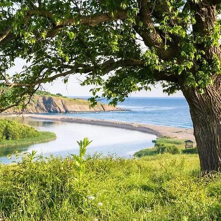 Zelenika ゲストハウス