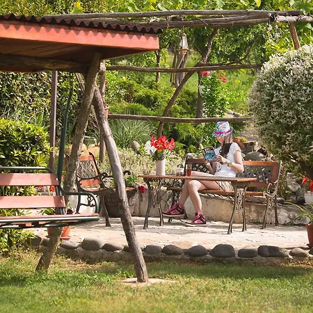 ゲストハウス Zelenika シネモレツ